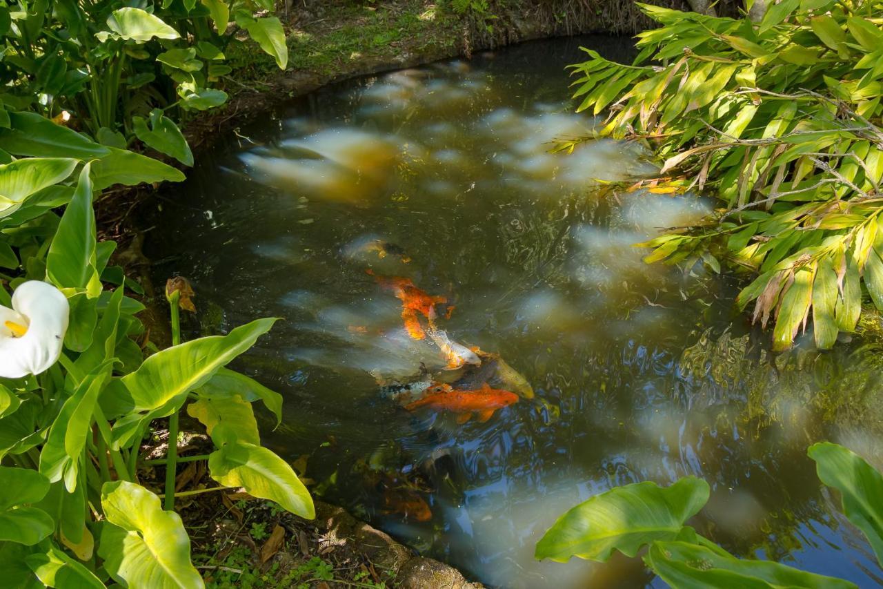 Pousada Passaredo Montanha Ibiúna 外观 照片