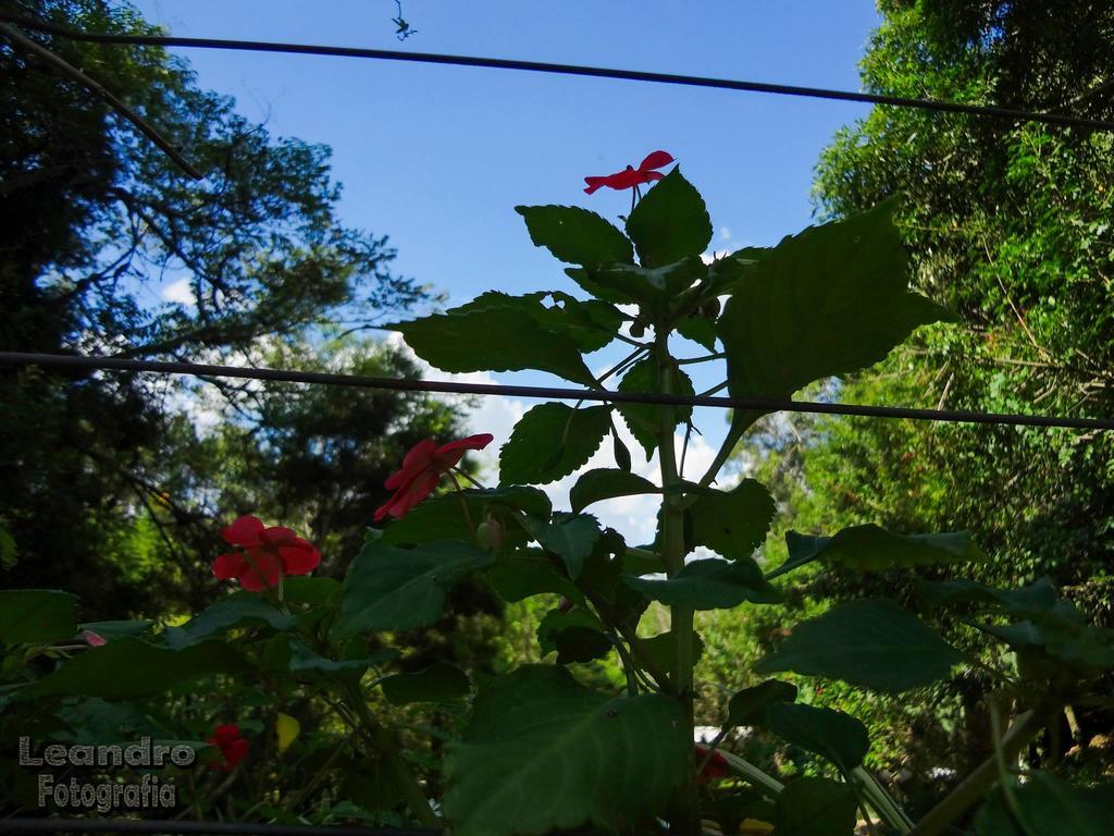 Pousada Passaredo Montanha Ibiúna 外观 照片