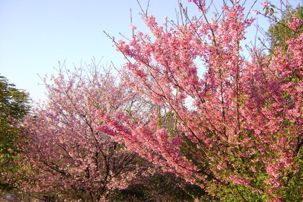 Pousada Passaredo Montanha Ibiúna 外观 照片