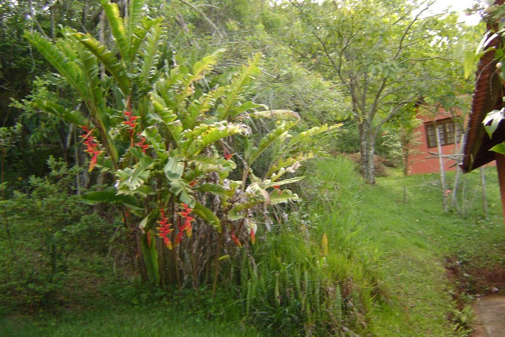 Pousada Passaredo Montanha Ibiúna 外观 照片