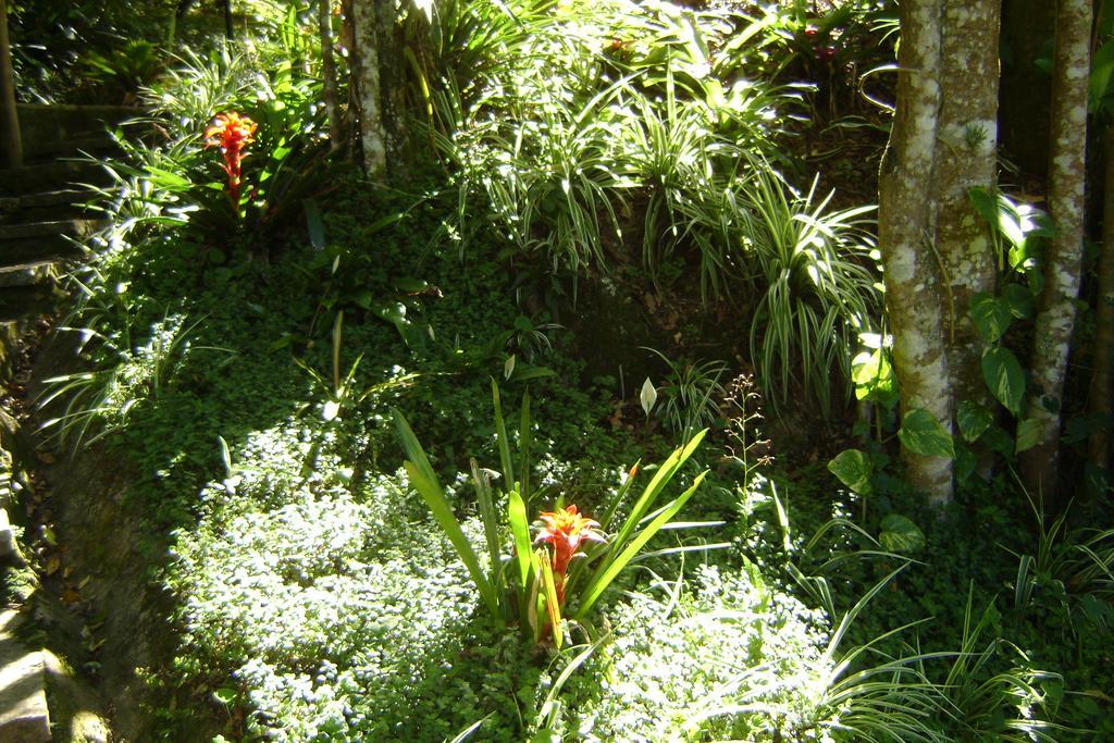 Pousada Passaredo Montanha Ibiúna 外观 照片